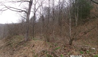 3675 Anawalt Ridge Rd, Anawalt, WV 24808