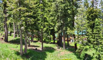 350 Snowshoe Rd, Bear Valley, CA 95223