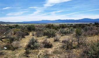 1 Mitchell Rd, Anza, CA 92539