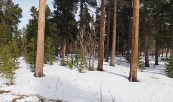 Long Trail Rd, Black Hawk, CO 80422