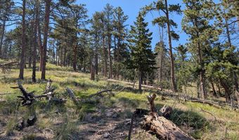 Old Camp Rd, Bellvue, CO 80512