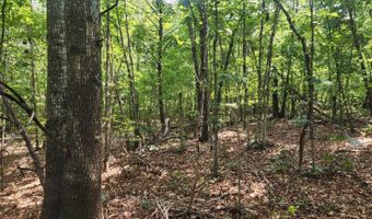 0- Lot 1-1 Red House, Appomattox, VA 24522