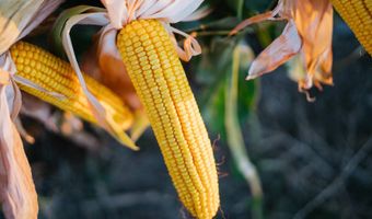 0000 450th Rd, Bassett, NE 68714