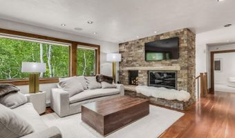 203 Eastwood Dr, Aspen, CO 81611