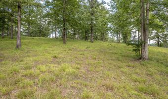 PARCEL 2 SIPSEY PINES ROAD, Arley, AL 35541