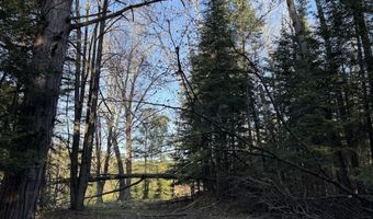 V/L Wildwood Road lot 1, Alger, MI 48610