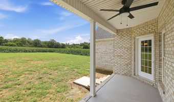 54 North Dr, Almo, KY 42020