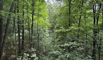 Fritz Run Rd, Ballard, WV 24918