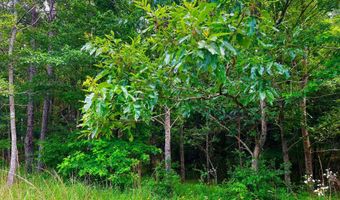 Arthur Drive, Brookhaven, MS 39601