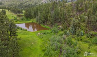 Old Flowers Rd, Bellvue, CO 80512