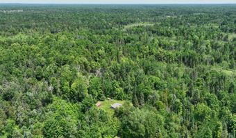 6002 Wildwood Dr, Alger, MI 48610