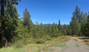 Saddle Rock Drive lot 19, Cascade, ID 83611