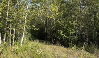 11 Bowling Green Ln, Belfast, ME 04915