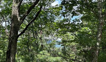 Lot 24 MT SNOW COURT, Basye, VA 22810