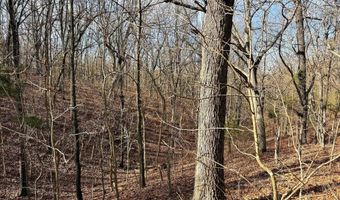 Farm Rd 1187 Lc, Ash Grove, MO 65604