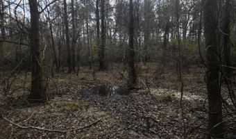 U.S. Highway 51, Bogue Chitto, MS 39629