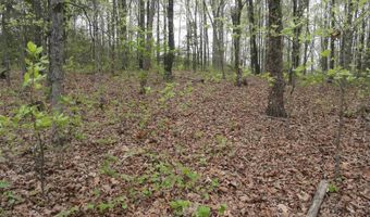 Long Branch Lane, Bee Branch, AR 72013