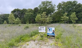 Lot 25 Rains County Road 2610, Alba, TX 75410