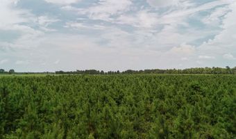 Copeland Ridge Road, Arkadelphia, AR 71923
