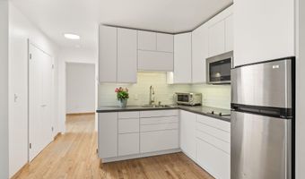 415 Pacific Ave C, Aspen, CO 81611