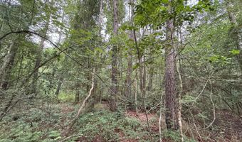 25232 Louisiana Highway 442 Lot Cdt1, Albany, LA 70711