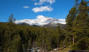 1997 Big Owl Rd, Allenspark, CO 80510