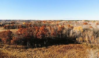 1353 State 371 NW, Backus, MN 56435