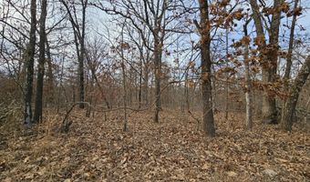 65 Acres Plainview Rd, Anderson, MO 64831
