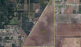 Fm-2044, Alice, TX 78332