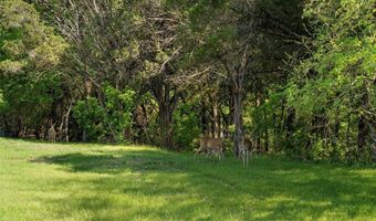 Lot 16 Rose Way, Aquilla, TX 76622