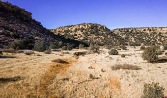000 County Road 40.2 Poitry Canyon Ranch, Branson, CO 81027
