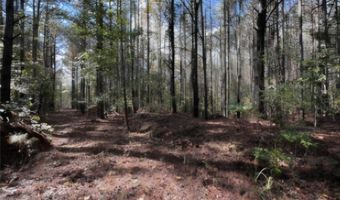 Jim Allred Road, Bankston, AL 35542