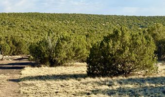 37 Co Rd N8174 10.1 Acres, Concho, AZ 85924