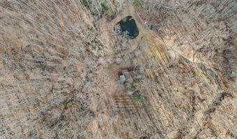 140 Wild Mountain Ln, Barnardsville, NC 28709