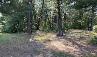 1667 Oakwood Trl, Allegan, MI 49010