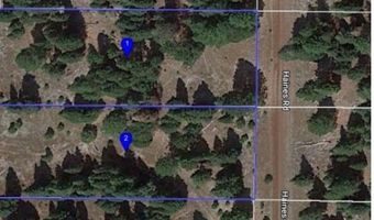 Haines Rd, Alturas, CA 96101