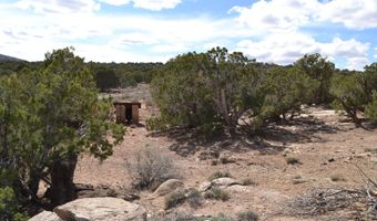 32 N8544 398, Concho, AZ 85924