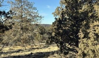 Canvasback Drive, Bonanza, OR 97623