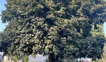 537 E Ronning Ave, Appleton, MN 56208