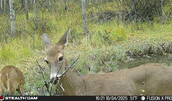 Tract A, Anaconda, MT 59711