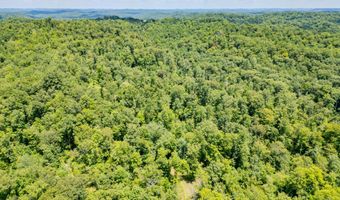 2291 Blankey Branch Rd, Beattyville, KY 41311