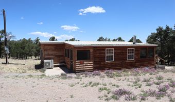 46 Wagon Trl, Datil, NM 87821