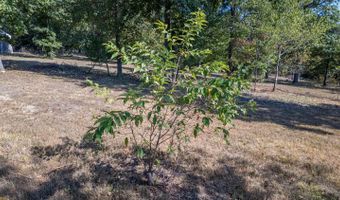 18180 Us 160, Alton, MO 65606