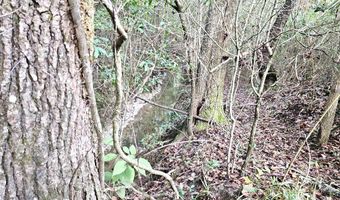 TBD Plowden Mill Road Tract D, Alcolu, SC 29001