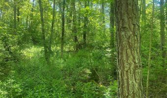 Townline Road, Angelica, NY 14709