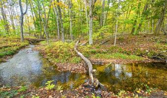 5441 Valley Rd, Alanson, MI 49706