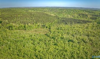 87 Acres Kay Hollis Rd, Beaverton, AL 35544