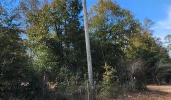 Breese Court lot 29, Alford, FL 32420