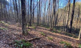 Tbd Oak Grove Rd, Austinville, VA 24312