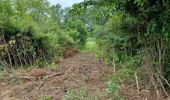 9250 92nd St SE, Alto, MI 49302